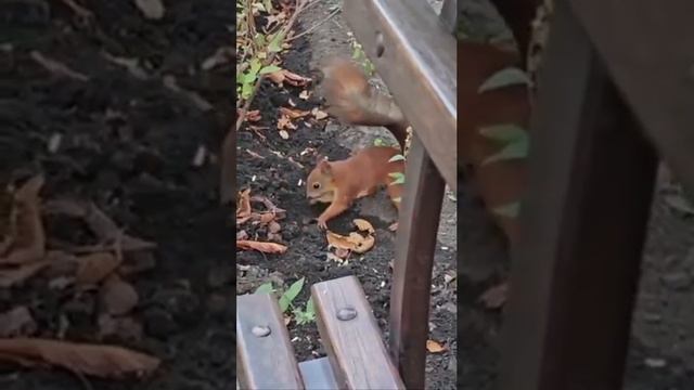 Уфимские закладчики совсем совесть потеряли ...