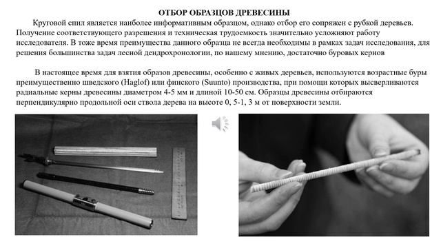 Дендроэкологические исследования Лектор Вернодубенко В.С.