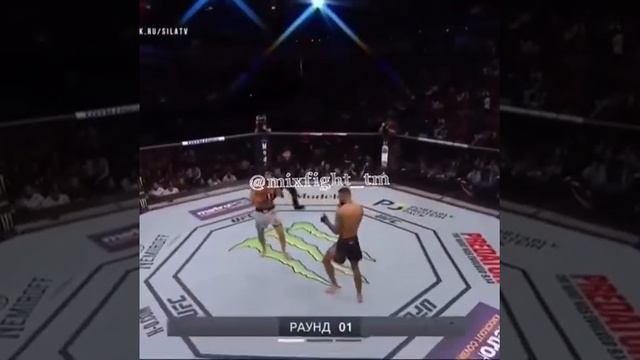 4 победа в UFC