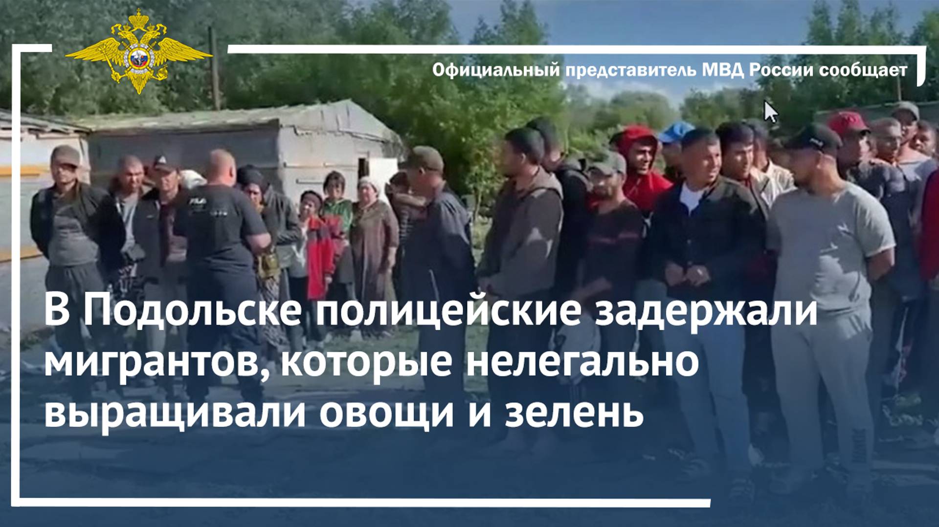 В Подольске полицейские задержали мигрантов, которые нелегально выращивали овощи и зелень