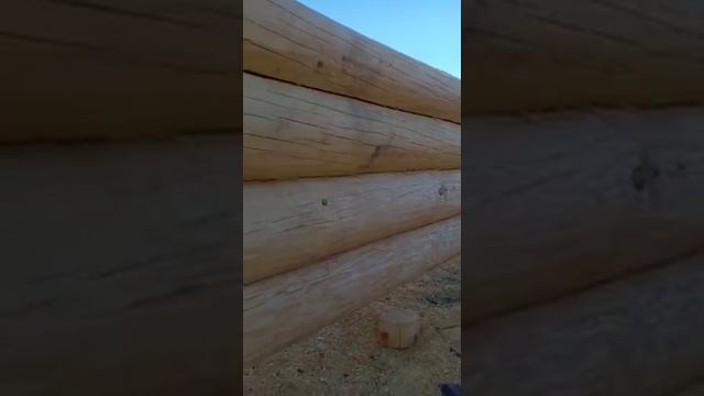 Компания ВамСруб. Срубы в лапу на производственной площадке