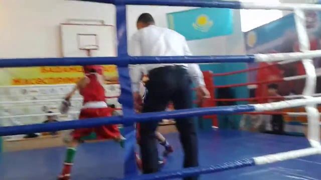 Бокс кызыл бурый