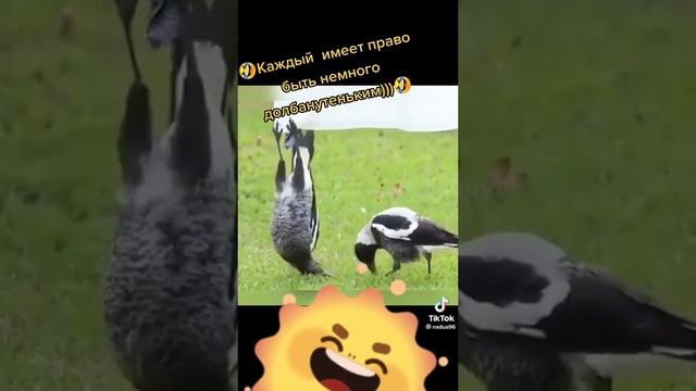 187f2d7d4a7ec41861a25913437686c3.mp4