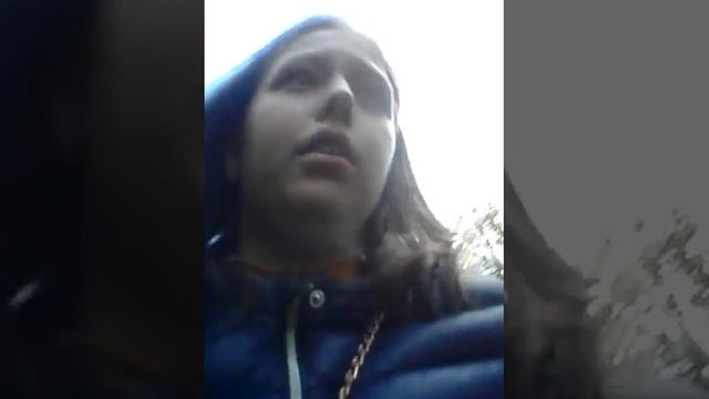 Вдог Едем на дачу номер 3