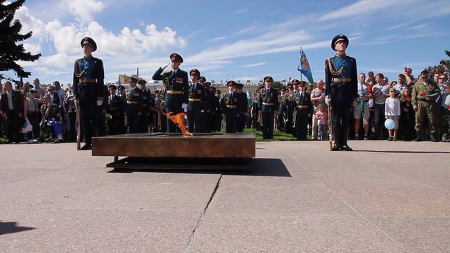ВДВ 86 лет Санкт - Петербург 2016 видео Владимир Шкваря - SVkad