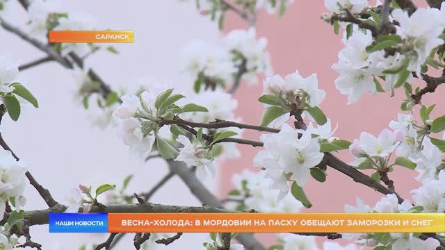 Весна-холода: в Мордовии на Пасху обещают заморозки и снег