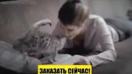 Вискас полноценный корм для котят Whiskas