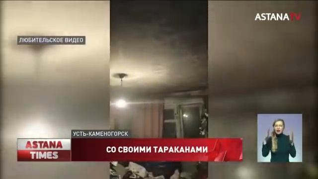 Крысы и тараканы: женщина устроила свалку в собственной квартире в Усть-Каменогорске