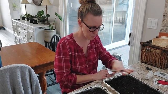 STARTING YOUR OWN FLOWERS FROM SEED//STARTING GERANIUMS FROM SEED//GROWING IMPATIENS FROM SEED