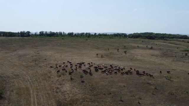 Северный Кавказ (4К DJI mini 2)