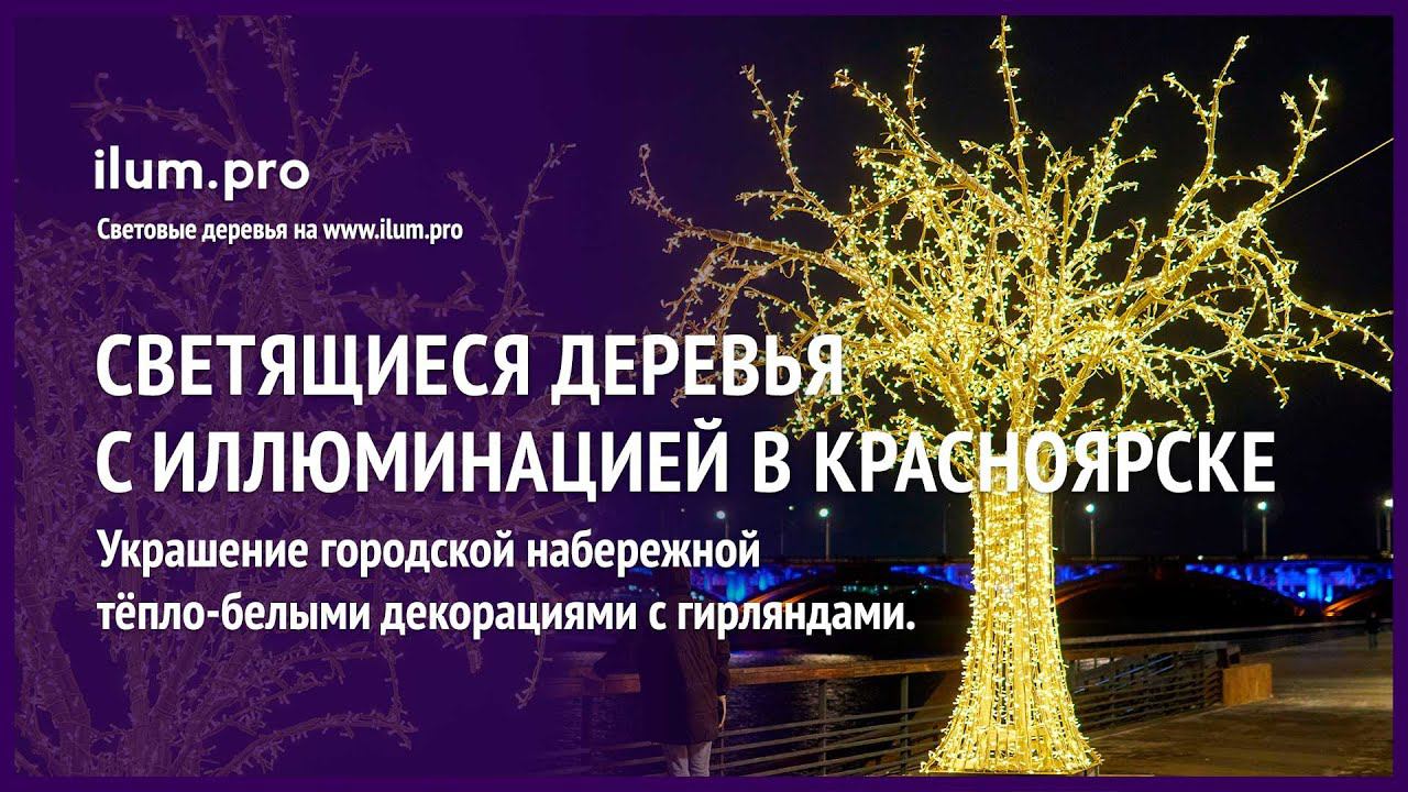 Украшение набережной в Красноярске светящимися деревьями с гирляндами / Айлюм Про