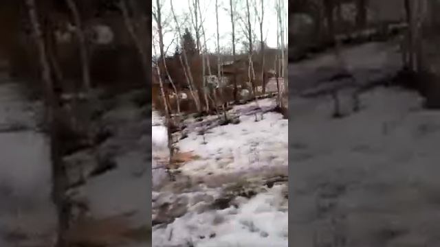 Патоп ВКО пос Глубокое
