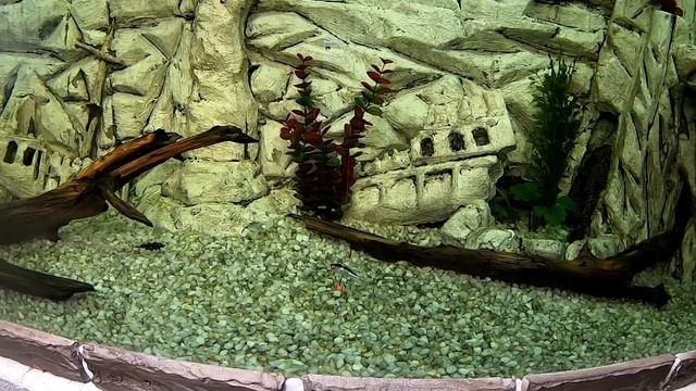 5 УБОЙНЫХ БАЛАНСИРОВ на Окуня . На них КЛЮЁТ ВСЕГДА !!! Зимняя рыбалка на Окуня ! Ловля на балансир