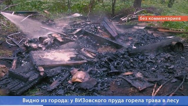 Под Екатеринбургом на 3-х гектарах горит лес