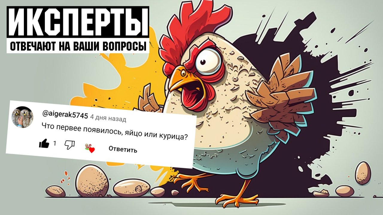 Что появилось раньше — курица или яйцо? | ИКСПЕРТЫ #bredboy