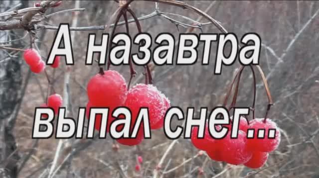 А назавтра выпал снег.avi