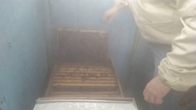 Пчеловодство 12 рамочный улей