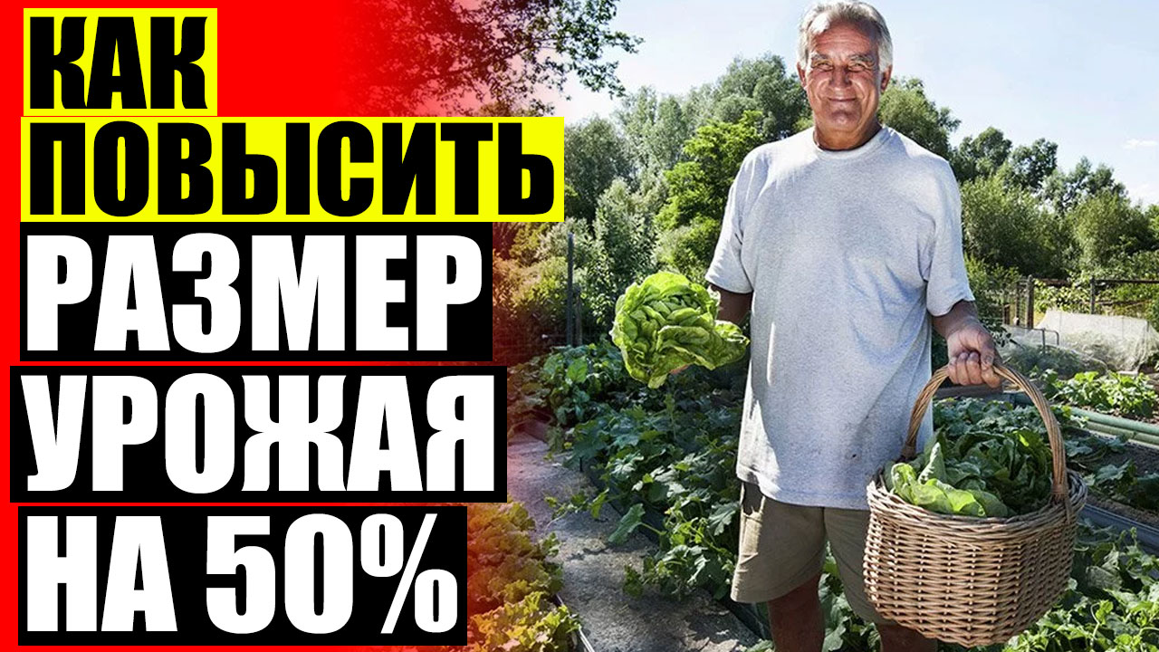 Купить биоудобрение BioGrow в Харькове 💡 Как увеличить урожай баклажан