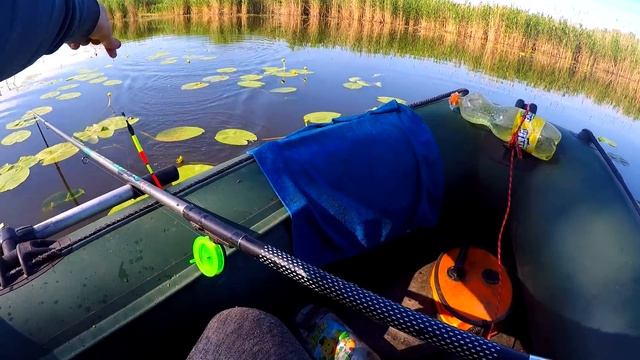 АКТИВНЫЙ КЛЁВ КРУПНОГО КАРАСЯ И КАРПА НА ЧЕРВЯ !!! Утреняя РЫБАЛКА на ПОПЛАВОК!