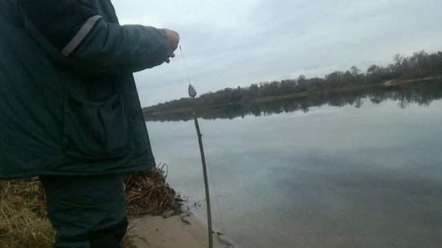 НАЛИМ  ОСЕНЬЮ. Мой первый ТРОФЕЙ