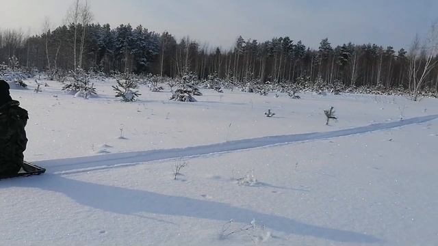 Снегокат Игорыч-2. Супруга в санях.