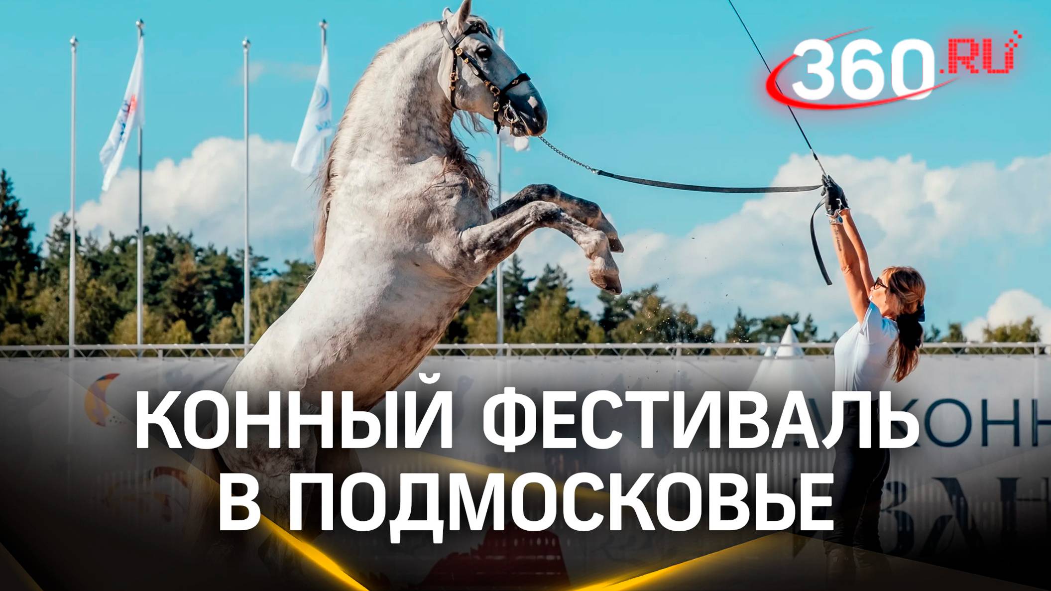 Крупнейший конный фестиваль прошел в Подмосковье