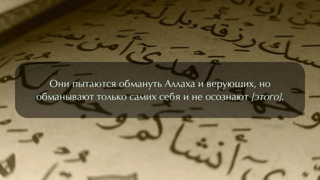 Сура 2 "Аль - Бакъара"                                                     аяты  ( 1 - 16 ).