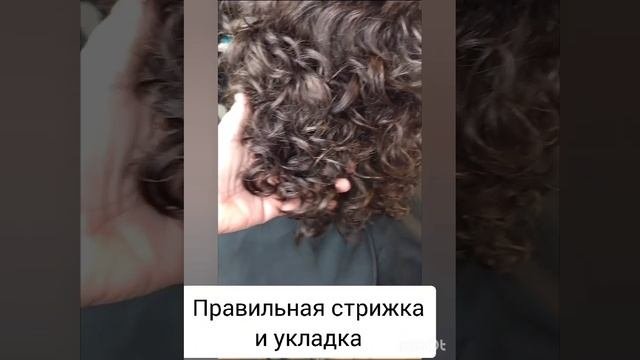 кудрявое окрашивание