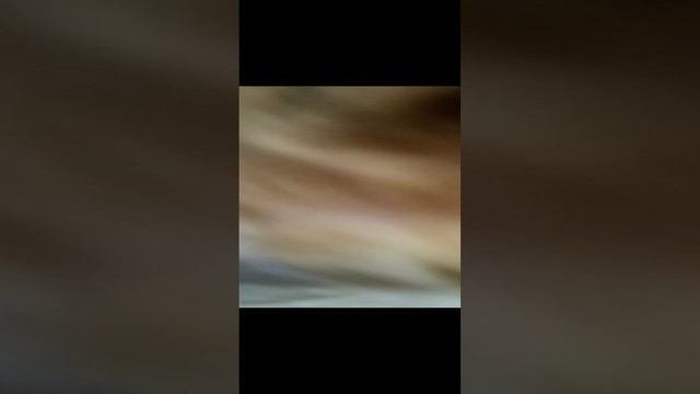 Плюнькя