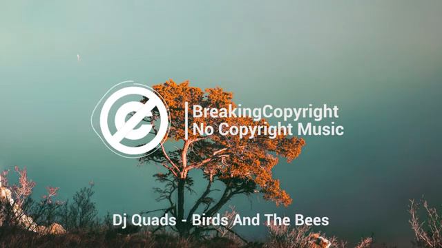 Dj Quads - Birds And The Bees