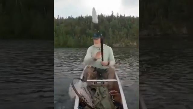 Неудачная рыбалка 🌞