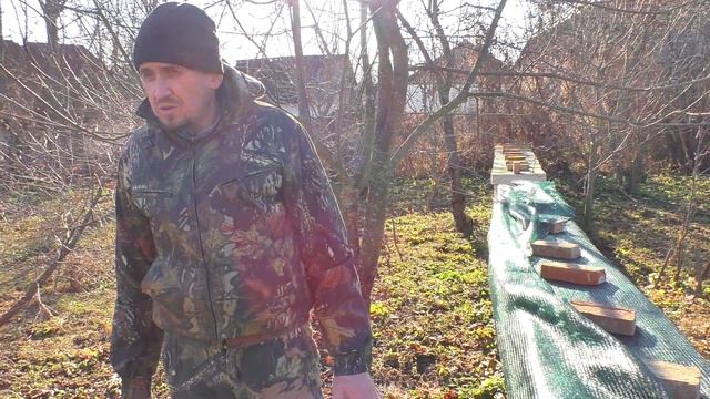 Как сделать, чтобы пчелы перезимовали ? Ноябрь.