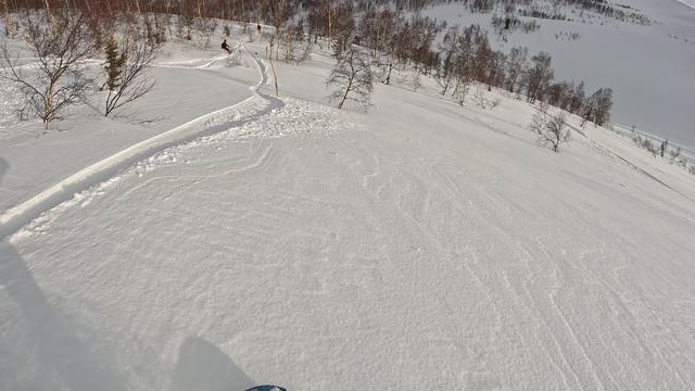 Фрирайд спуск в Приисковом