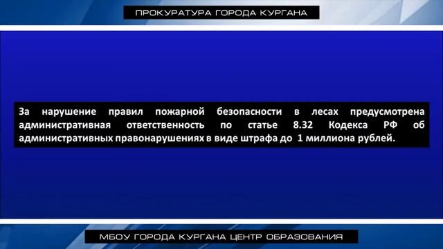 Берегите лес