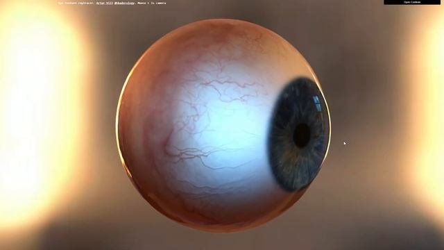 Wallpaper Engine  Chrome Experiments