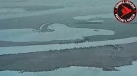 Морские пехотинцы Северного флота зачистили остров в Херсонской области от диверсантов ВСУ.