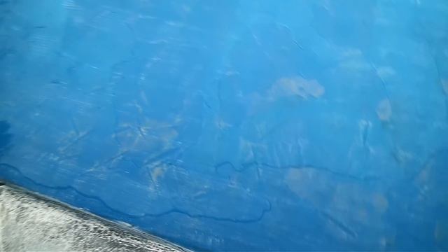 Декорация для бассейна своими руками. Арт бетон. Командировка