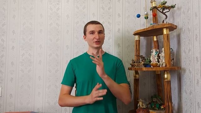 Здоровая селезенка