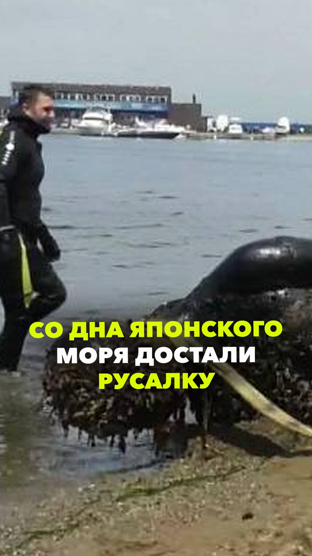 Во Владивостоке со дна Японского моря подняли русалку. Она около 20 лет лежала под водой