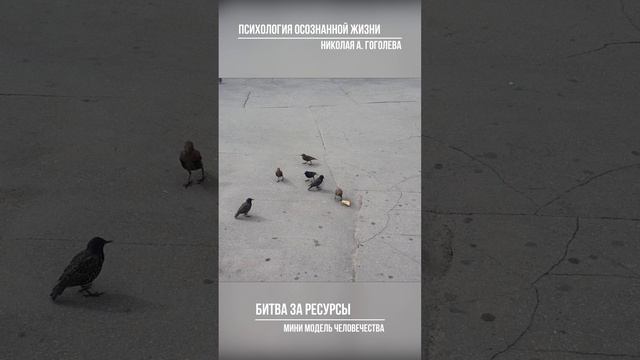 Вся суть человечества в одном коротком видео без людей #юмор #животные #прикольноевидео