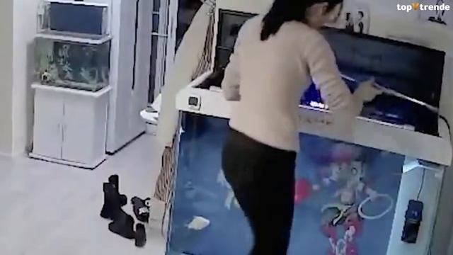 Такое Редко Увидишь! Странные Видео, Снятые на Скрытую Камеру Видеонаблюдения