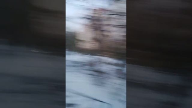 Молодец, что я вышла на прогулку.