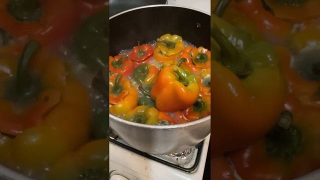 Cooking stuff pepper guys