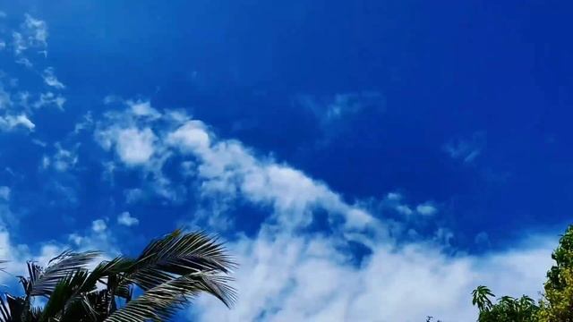 ВИДЕО-РЕЛАКС/МАССАЖ/ОТДЫХ