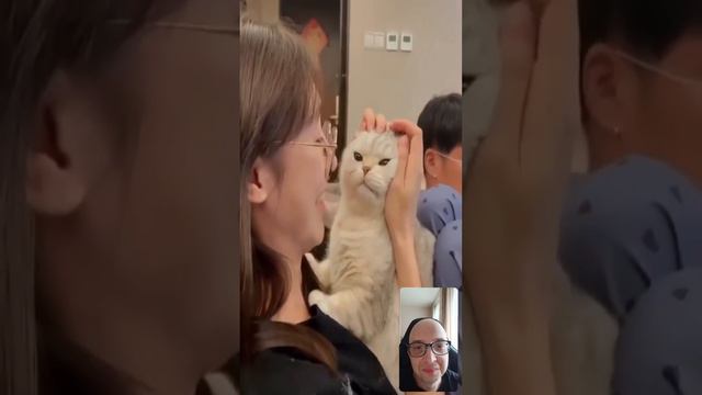 моё тотемное животное 😼