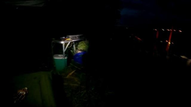 РЫБАЛКА НА МАЙСКОГО ЖУКА в полночь