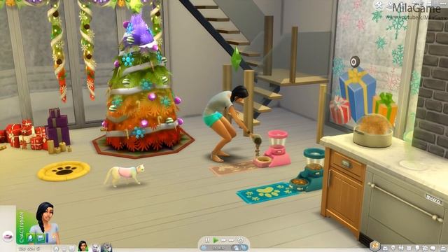 ТОМ 2 В The Sims 4 АНДЖЕЛА ЖДЕТ КОТЯТ |  ХОМЯК УКУСИЛ ЗА НОС