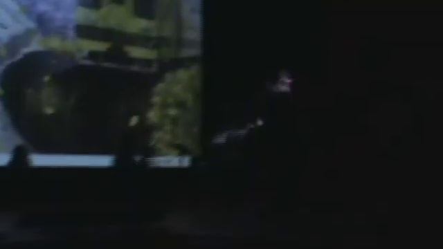 Hanami 2011 (Вокалоиды)