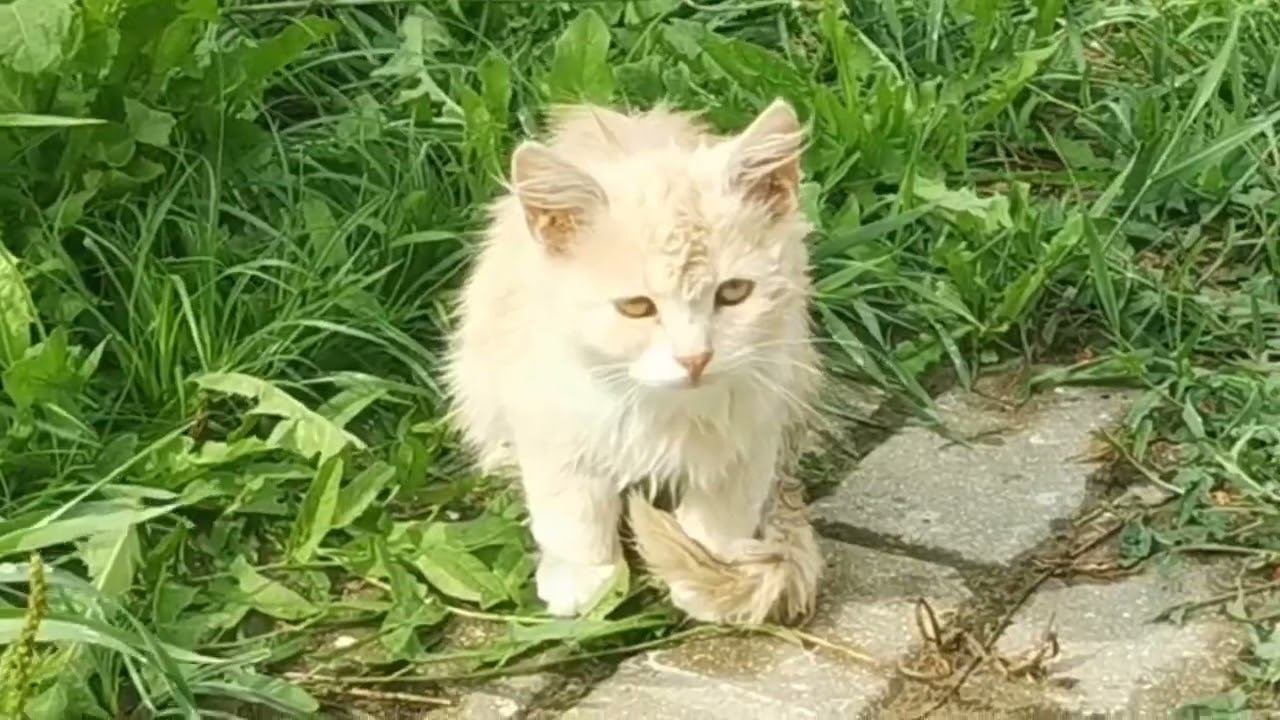 Осмотр Иосифо-Волоцкого монастыря