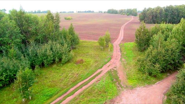 Ленинское преследование самолета